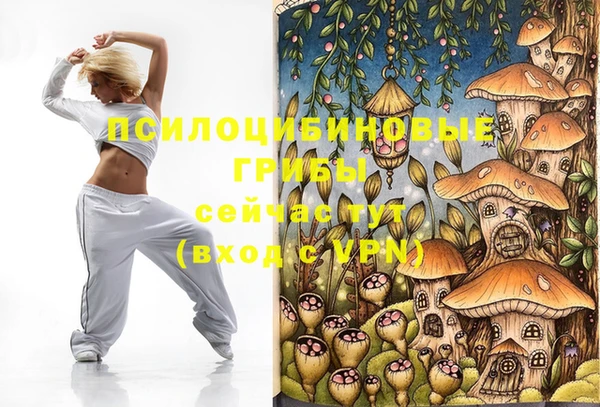 таблы Алексеевка